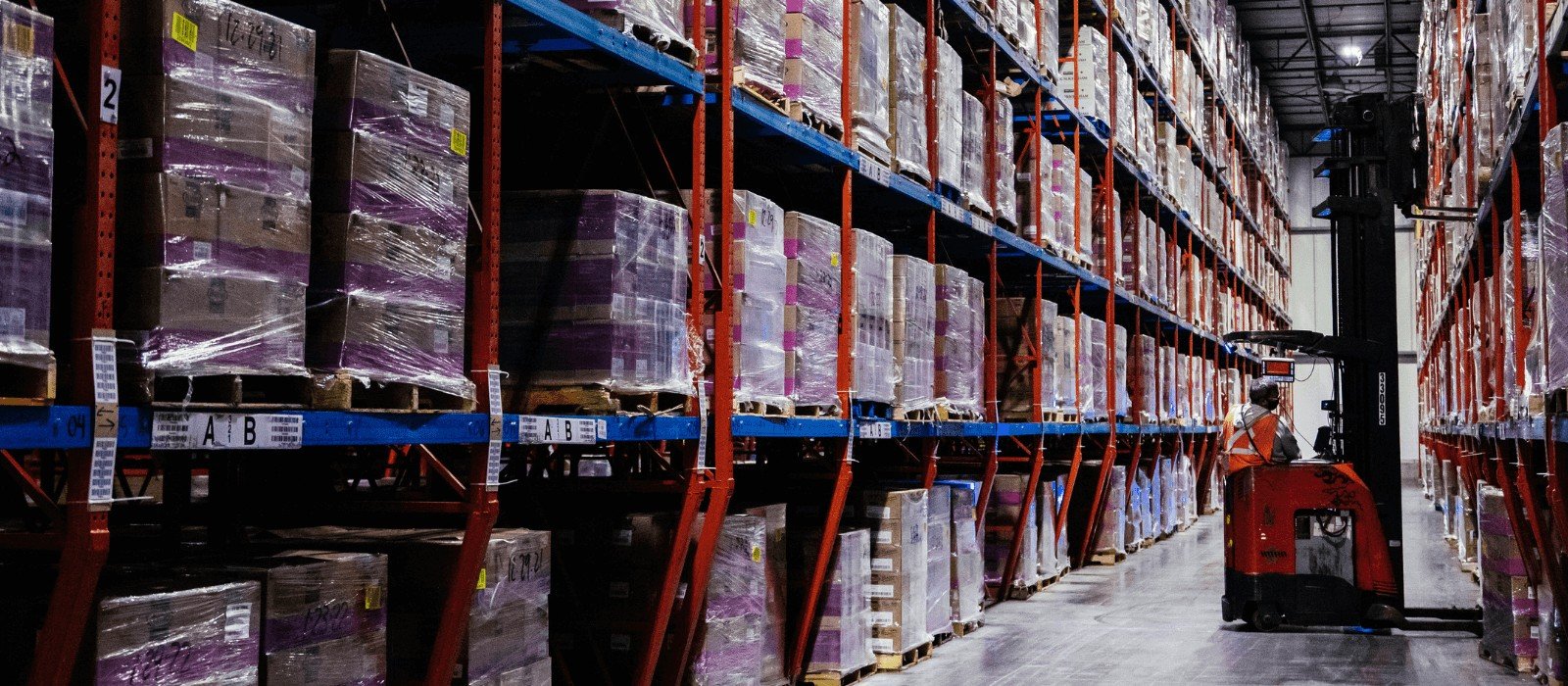 Temperature-controlled warehouse with pallet racking